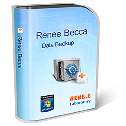 Renee File Protector Serial Key